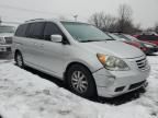 2010 Honda Odyssey EXL