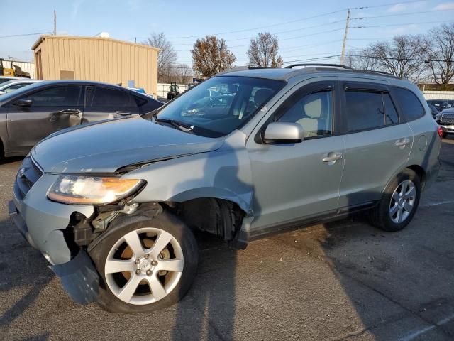 2009 Hyundai Santa FE SE