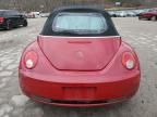 2006 Volkswagen New Beetle Convertible Option Package 1