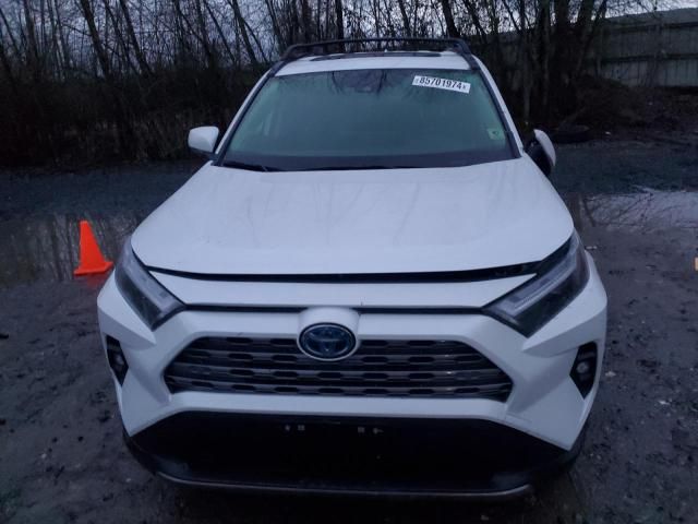 2023 Toyota Rav4 Limited