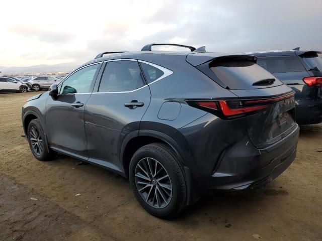 2024 Lexus NX 250 Base