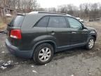 2011 KIA Sorento Base