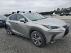 2019 Lexus NX 300 Base