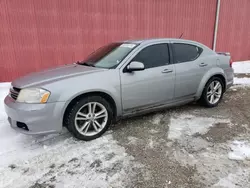 Salvage cars for sale at London, ON auction: 2013 Dodge Avenger SXT