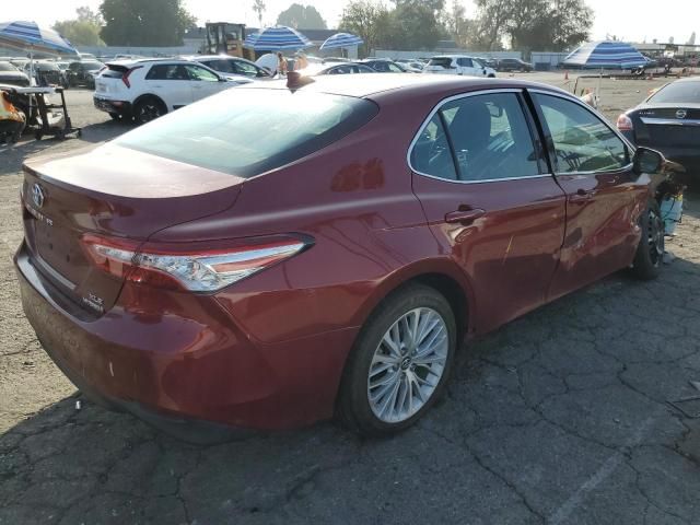 2019 Toyota Camry Hybrid