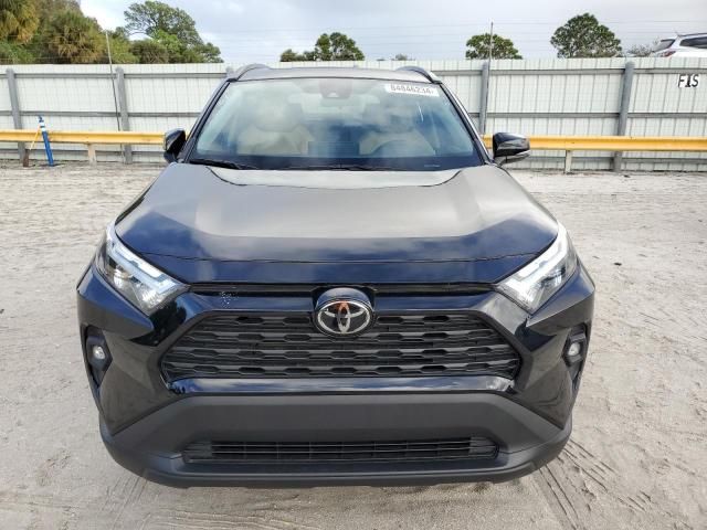 2023 Toyota Rav4 XLE Premium