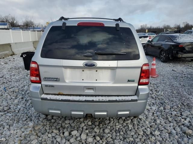 2011 Ford Escape XLT