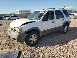 Ford salvage cars for sale: 2002 Ford Escape XLT