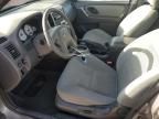 2007 Ford Escape XLT