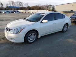 Nissan Vehiculos salvage en venta: 2012 Nissan Altima Base