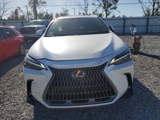 2025 Lexus NX 250 Premium