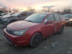 2010 Ford Focus SES