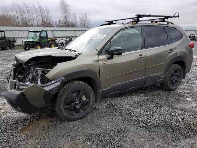 2024 Subaru Forester Wilderness