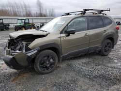 Salvage cars for sale from Copart Arlington, WA: 2024 Subaru Forester Wilderness