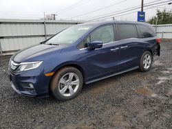 Salvage cars for sale at Hillsborough, NJ auction: 2019 Honda Odyssey EXL