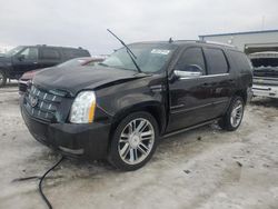 Salvage cars for sale at Wayland, MI auction: 2013 Cadillac Escalade Premium