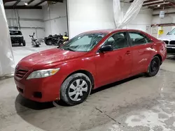 Salvage cars for sale at Leroy, NY auction: 2010 Toyota Camry Base