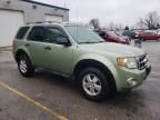 2008 Ford Escape XLT