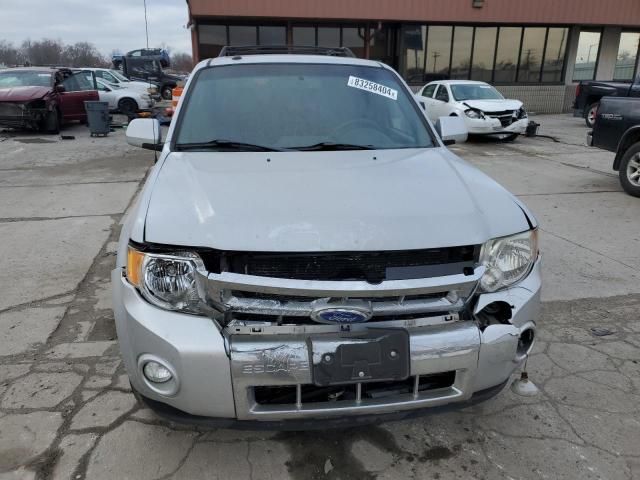 2011 Ford Escape Limited