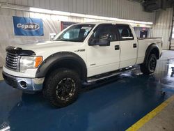 Ford f150 Supercrew Vehiculos salvage en venta: 2011 Ford F150 Supercrew