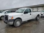 2014 Ford F150