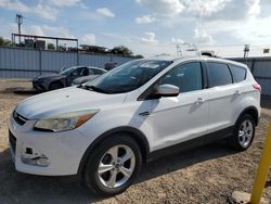 Ford salvage cars for sale: 2014 Ford Escape SE