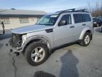 2009 Dodge Nitro SE