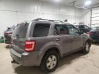 2009 Ford Escape XLT