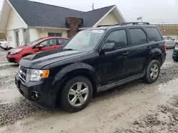 2010 Ford Escape XLT en venta en Northfield, OH