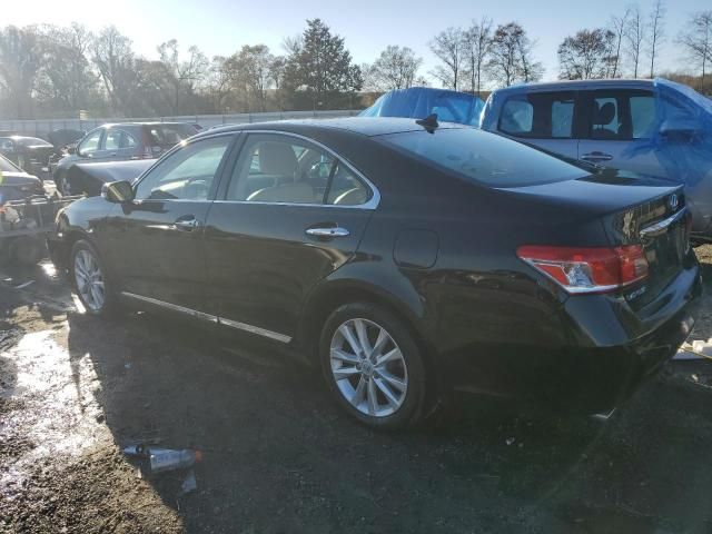 2010 Lexus ES 350