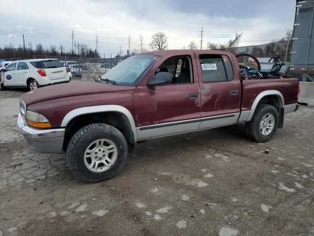 2001 Dodge Dakota Quattro