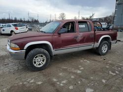 Dodge Dakota Vehiculos salvage en venta: 2001 Dodge Dakota Quattro