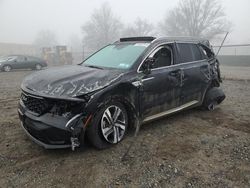 Salvage Cars with No Bids Yet For Sale at auction: 2023 KIA Sorento EX