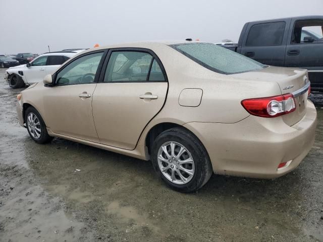 2011 Toyota Corolla Base