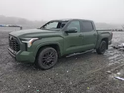 Salvage SUVs for sale at auction: 2023 Toyota Tundra Crewmax SR