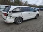 2024 Honda Odyssey EXL