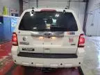 2010 Ford Escape Limited