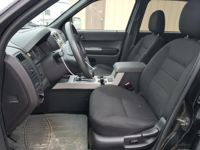 2008 Ford Escape XLT