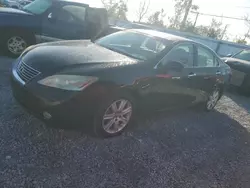 Salvage cars for sale at Riverview, FL auction: 2008 Lexus ES 350