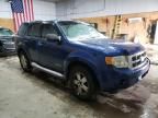 2008 Ford Escape XLS