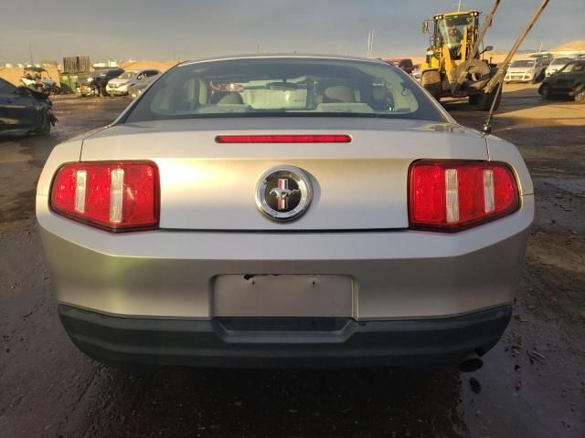 2010 Ford Mustang