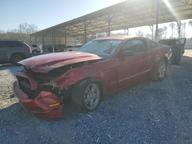 2013 Ford Mustang