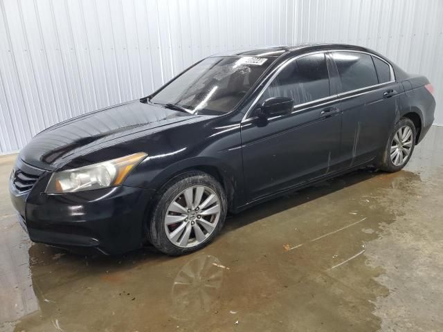 2011 Honda Accord EXL