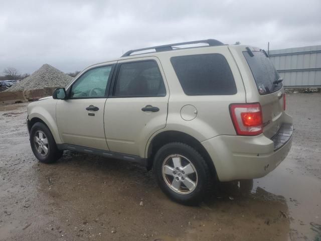 2012 Ford Escape XLT