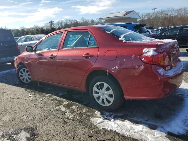 2010 Toyota Corolla Base