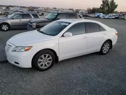 Salvage cars for sale at Antelope, CA auction: 2009 Toyota Camry SE