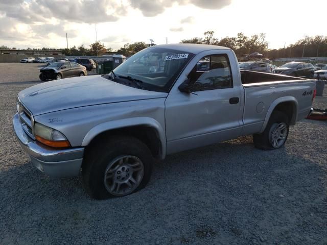 2003 Dodge Dakota SXT