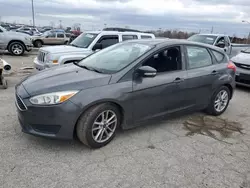 Salvage cars for sale at Indianapolis, IN auction: 2015 Ford Focus SE