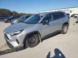 Salvage cars for sale at Gaston, SC auction: 2024 Toyota Rav4 LE