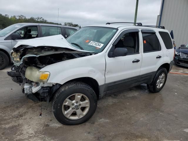 2005 Ford Escape XLT